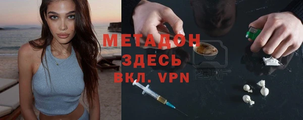 индика Алексин