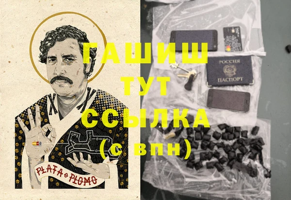 трава Осинники