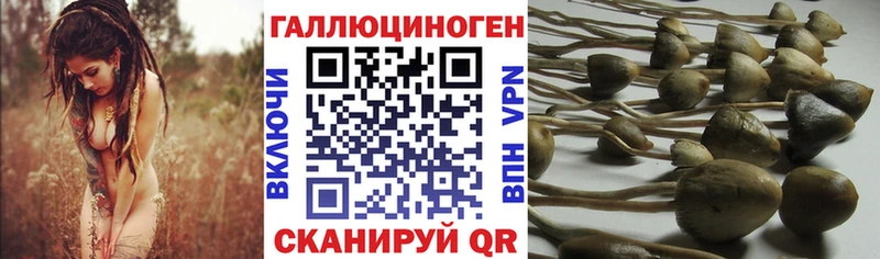Псилоцибиновые грибы мицелий  Куйбышев 